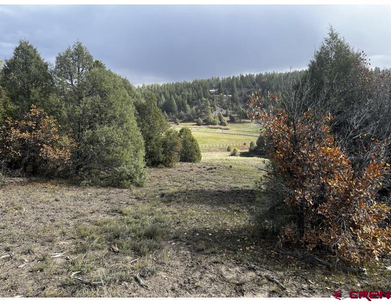 64 Bradley Place Pagosa Springs CO 81147