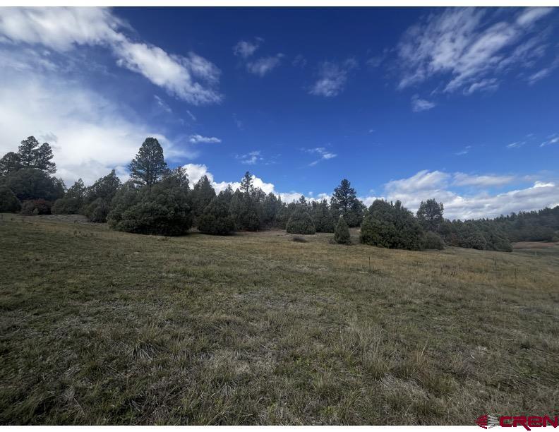 64 Bradley Place Pagosa Springs CO 81147