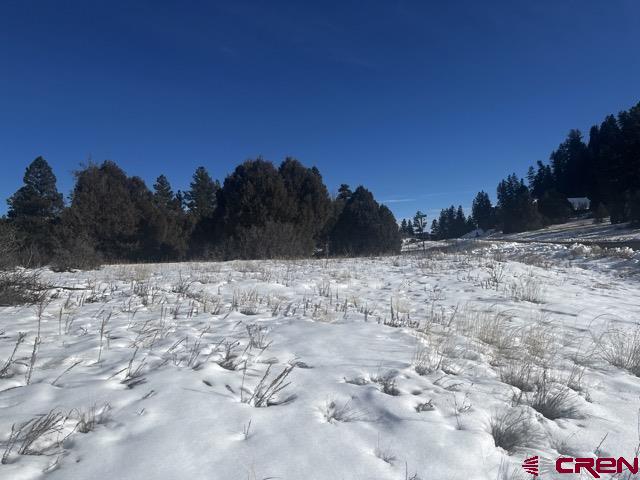 64 Bradley Place Pagosa Springs CO 81147