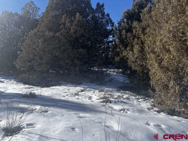 64 Bradley Place Pagosa Springs CO 81147