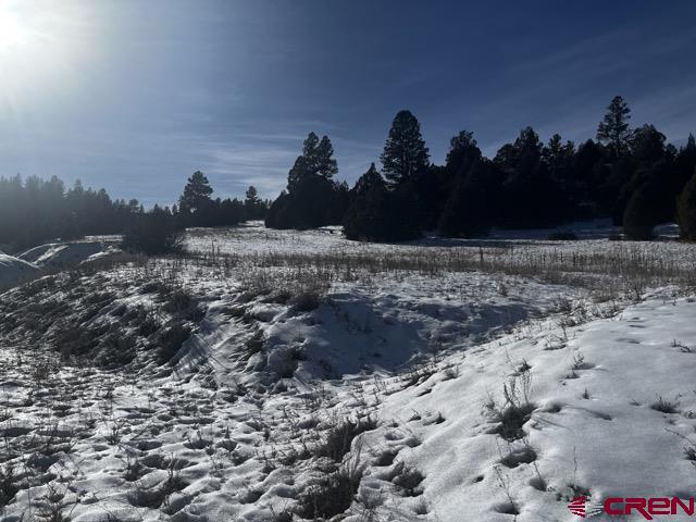 64 Bradley Place Pagosa Springs CO 81147