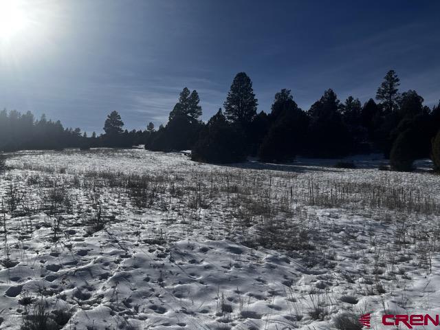 64 Bradley Place Pagosa Springs CO 81147