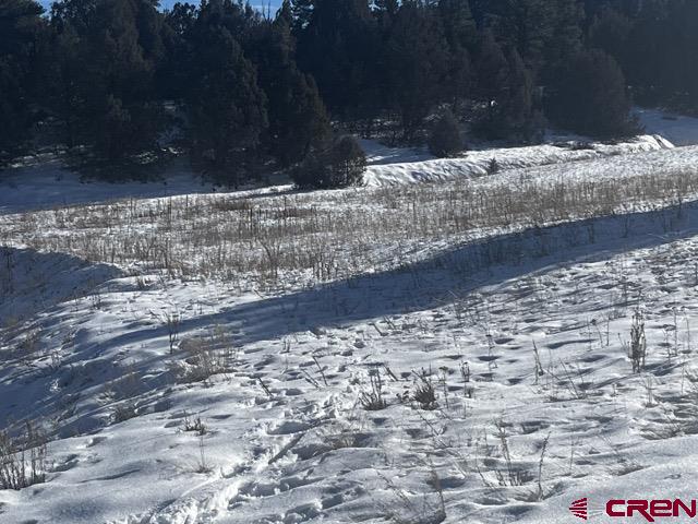 64 Bradley Place Pagosa Springs CO 81147