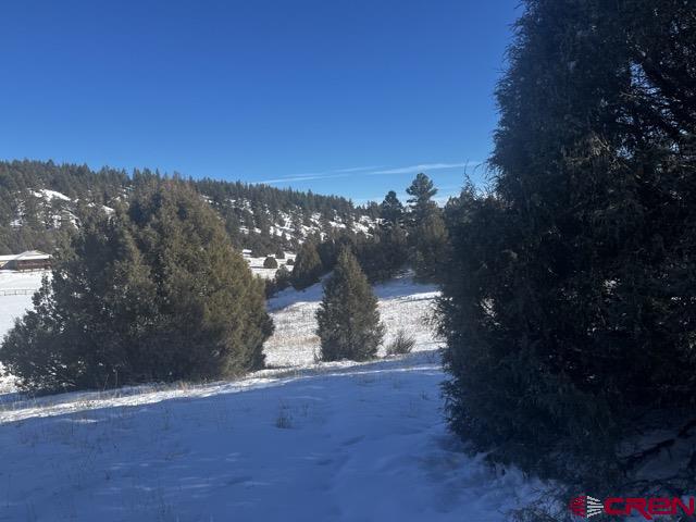 64 Bradley Place Pagosa Springs CO 81147