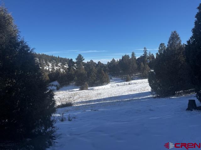64 Bradley Place Pagosa Springs CO 81147