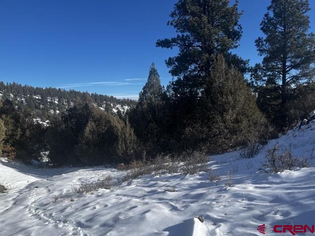 64 Bradley Place Pagosa Springs CO 81147