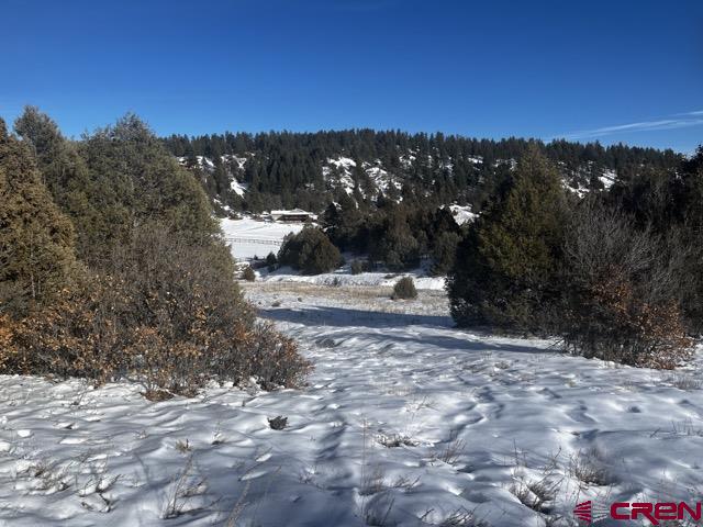 64 Bradley Place Pagosa Springs CO 81147