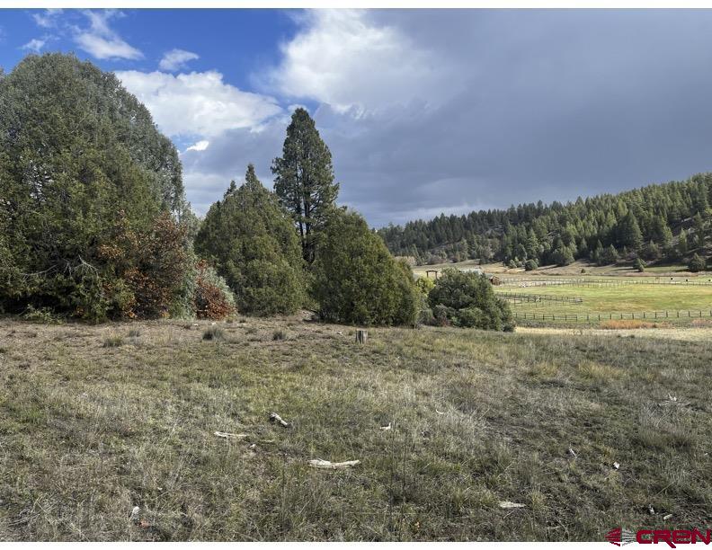 64 Bradley Place Pagosa Springs CO 81147