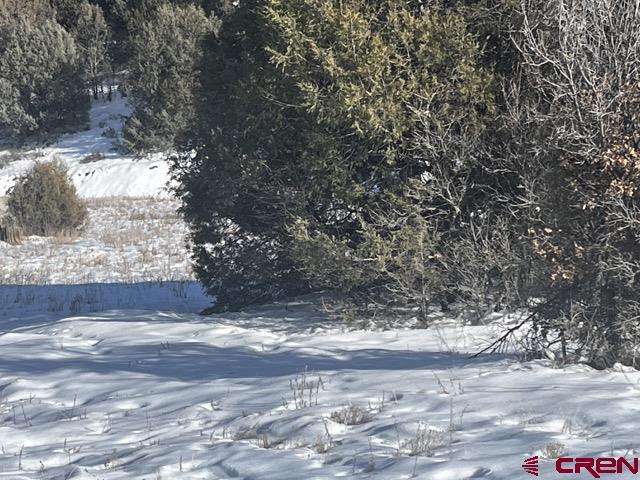 64 Bradley Place Pagosa Springs CO 81147