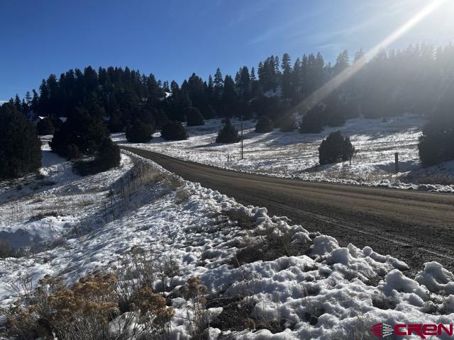64 Bradley Place Pagosa Springs CO 81147