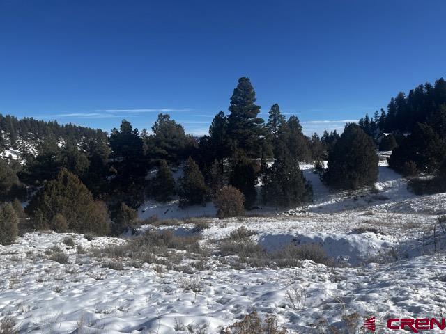 64 Bradley Place Pagosa Springs CO 81147