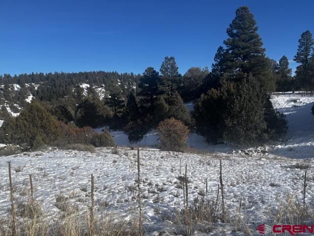 64 Bradley Place Pagosa Springs CO 81147