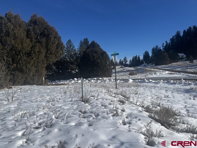 64 Bradley Place Pagosa Springs CO 81147