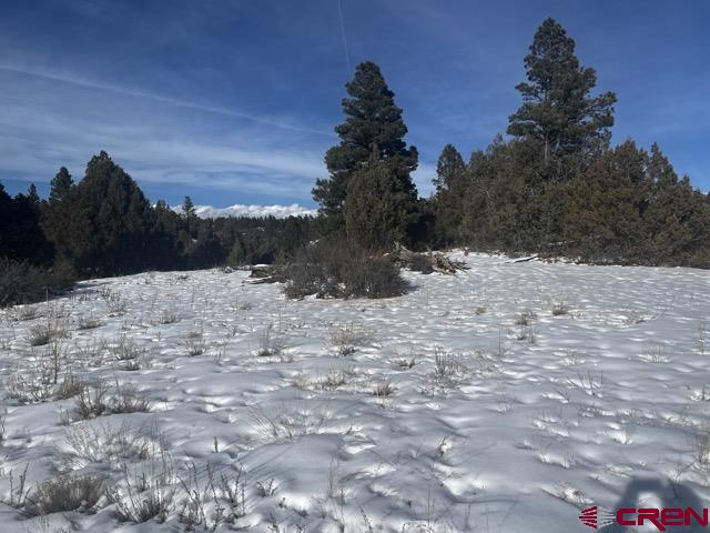 64 Bradley Place Pagosa Springs CO 81147