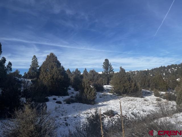 64 Bradley Place Pagosa Springs CO 81147