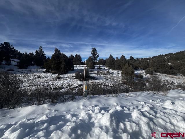 64 Bradley Place Pagosa Springs CO 81147