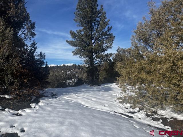 64 Bradley Place Pagosa Springs CO 81147