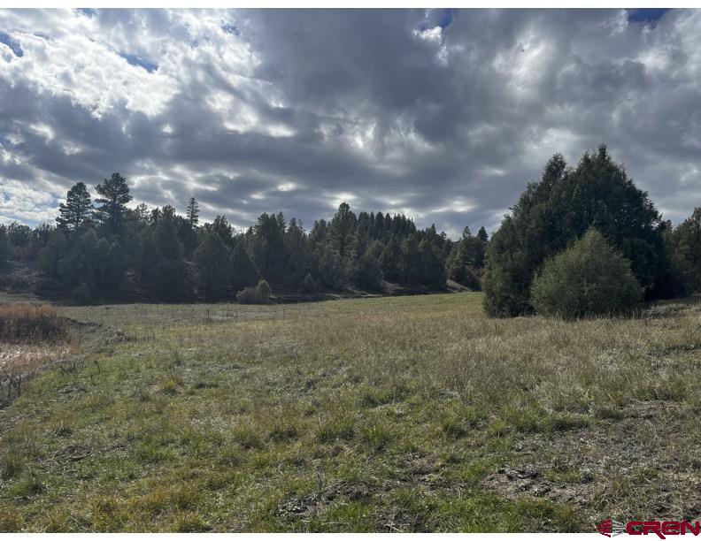 64 Bradley Place Pagosa Springs CO 81147