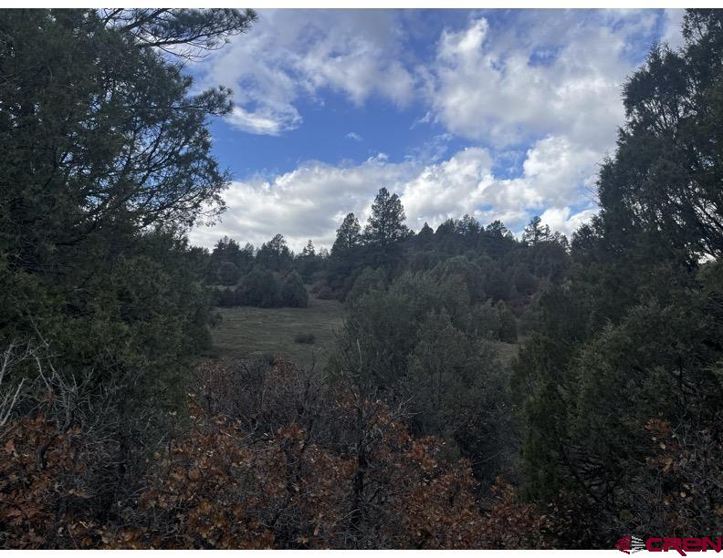 64 Bradley Place Pagosa Springs CO 81147