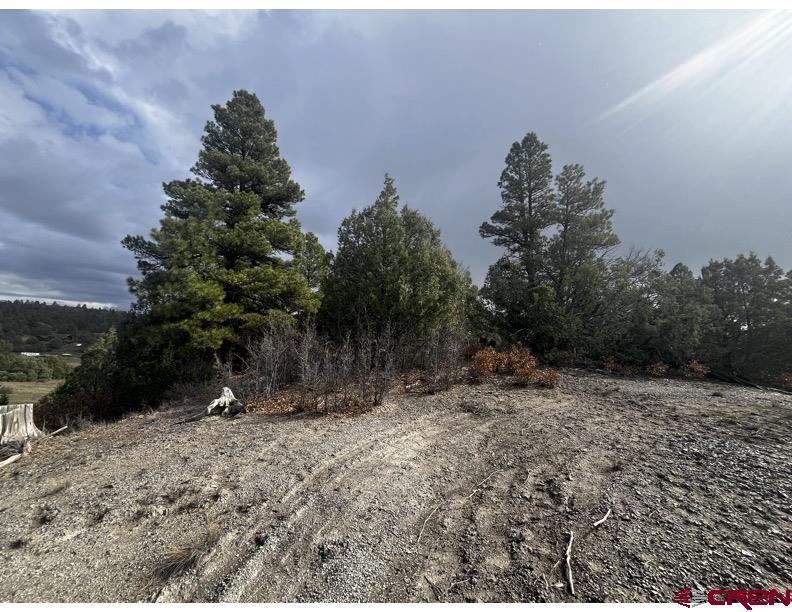 64 Bradley Place Pagosa Springs CO 81147