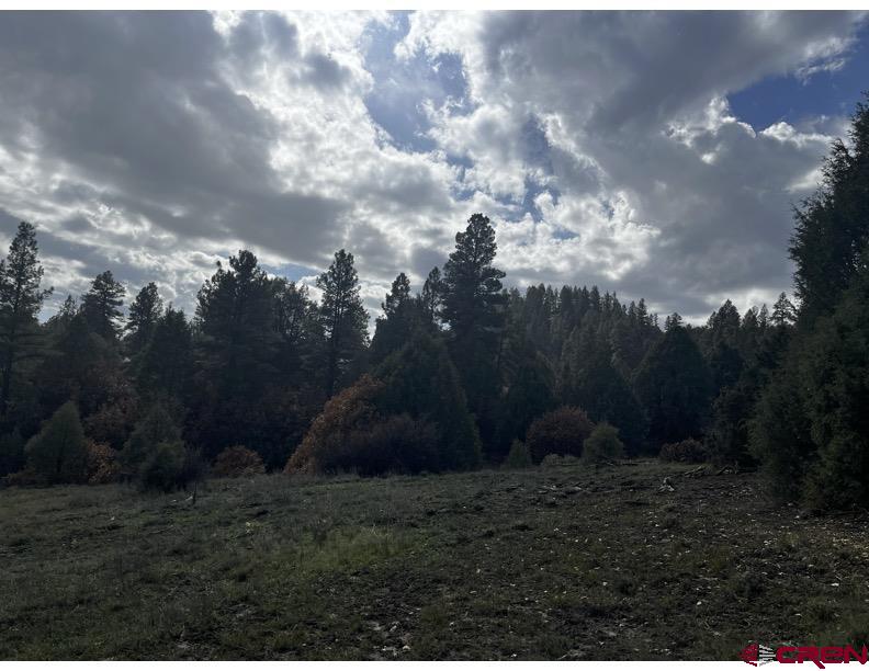 64 Bradley Place Pagosa Springs CO 81147