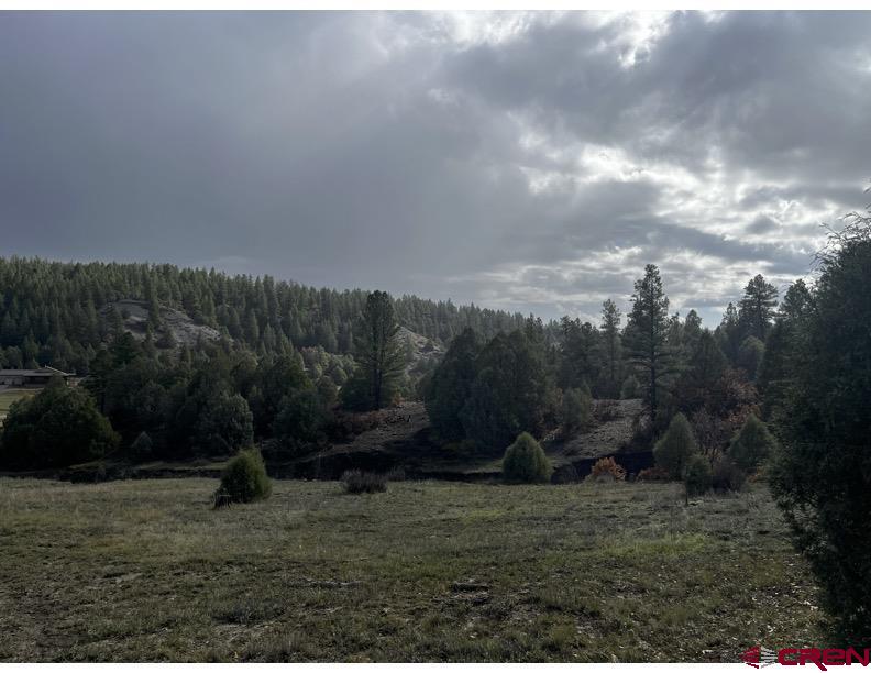 64 Bradley Place Pagosa Springs CO 81147