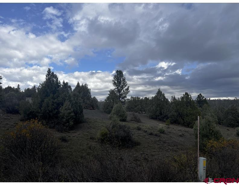 64 Bradley Place Pagosa Springs CO 81147