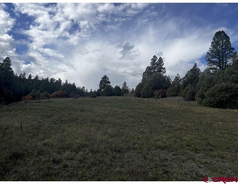 64 Bradley Place Pagosa Springs CO 81147