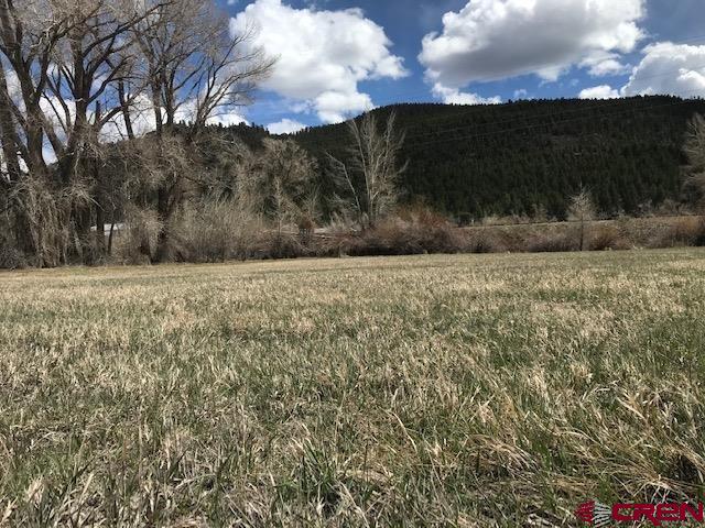 132 W Riverside Court South Fork CO 81154