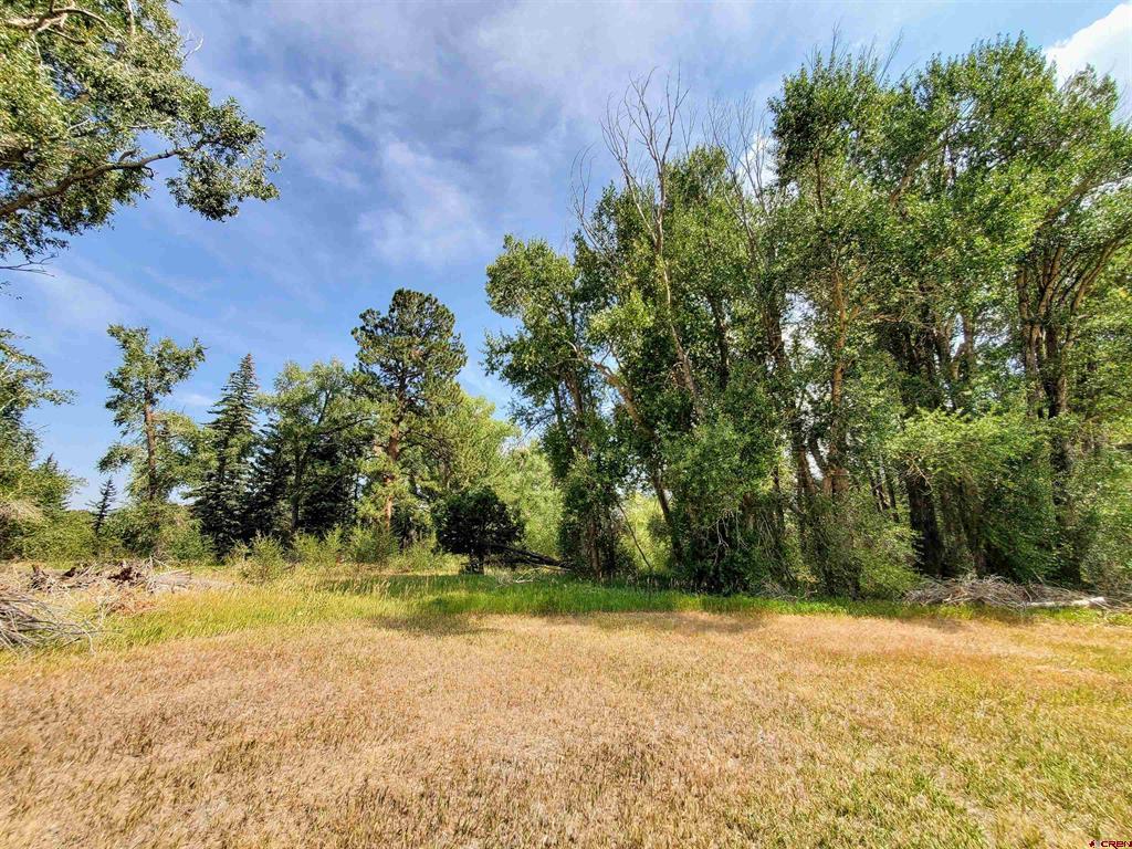 20 E Riverside Court South Fork CO 81154