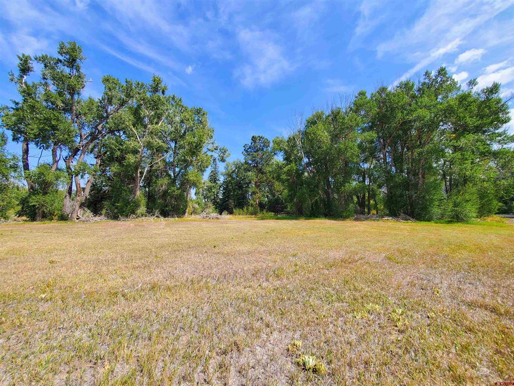 20 E Riverside Court South Fork CO 81154