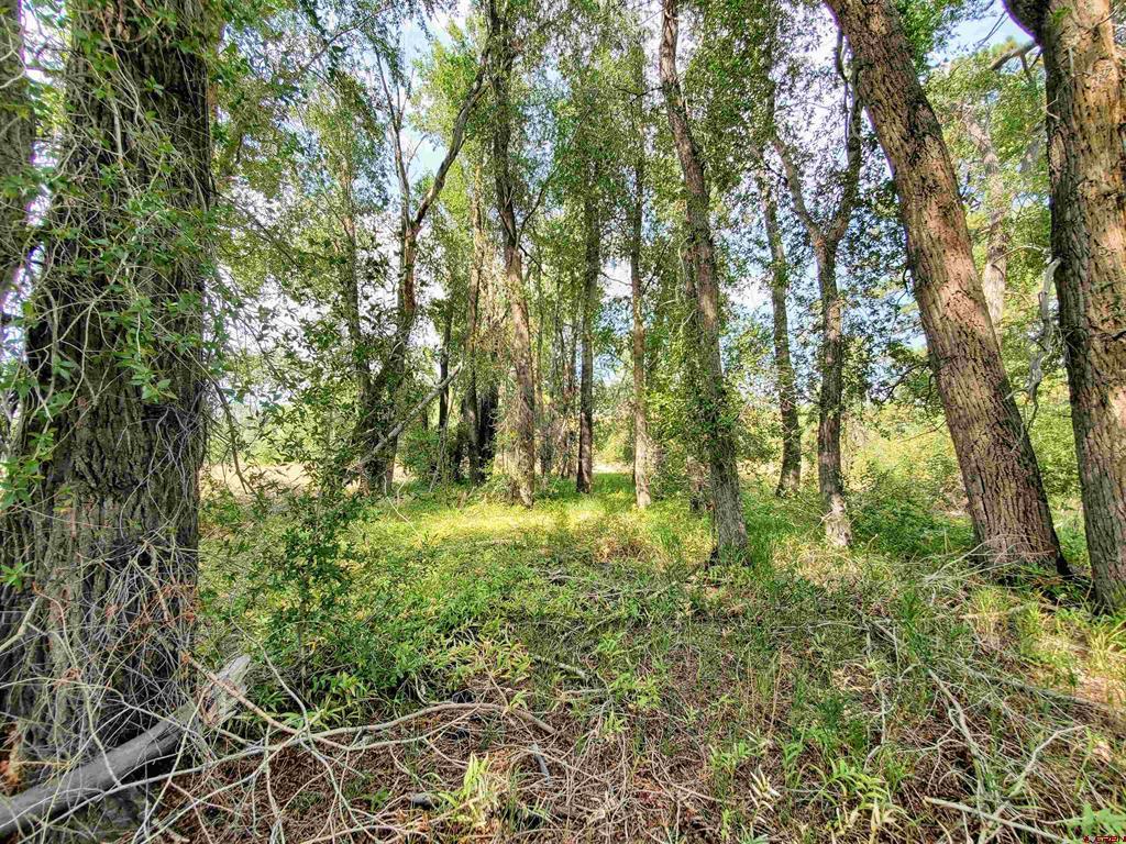 20 E Riverside Court South Fork CO 81154