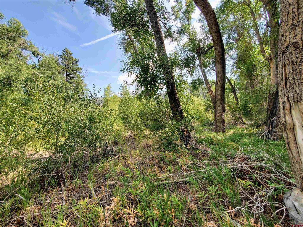 20 E Riverside Court South Fork CO 81154