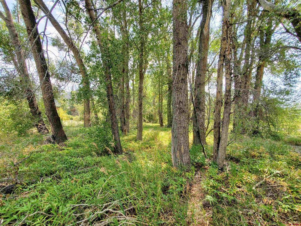 20 E Riverside Court South Fork CO 81154