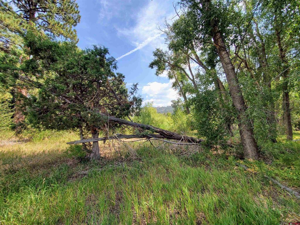 20 E Riverside Court South Fork CO 81154