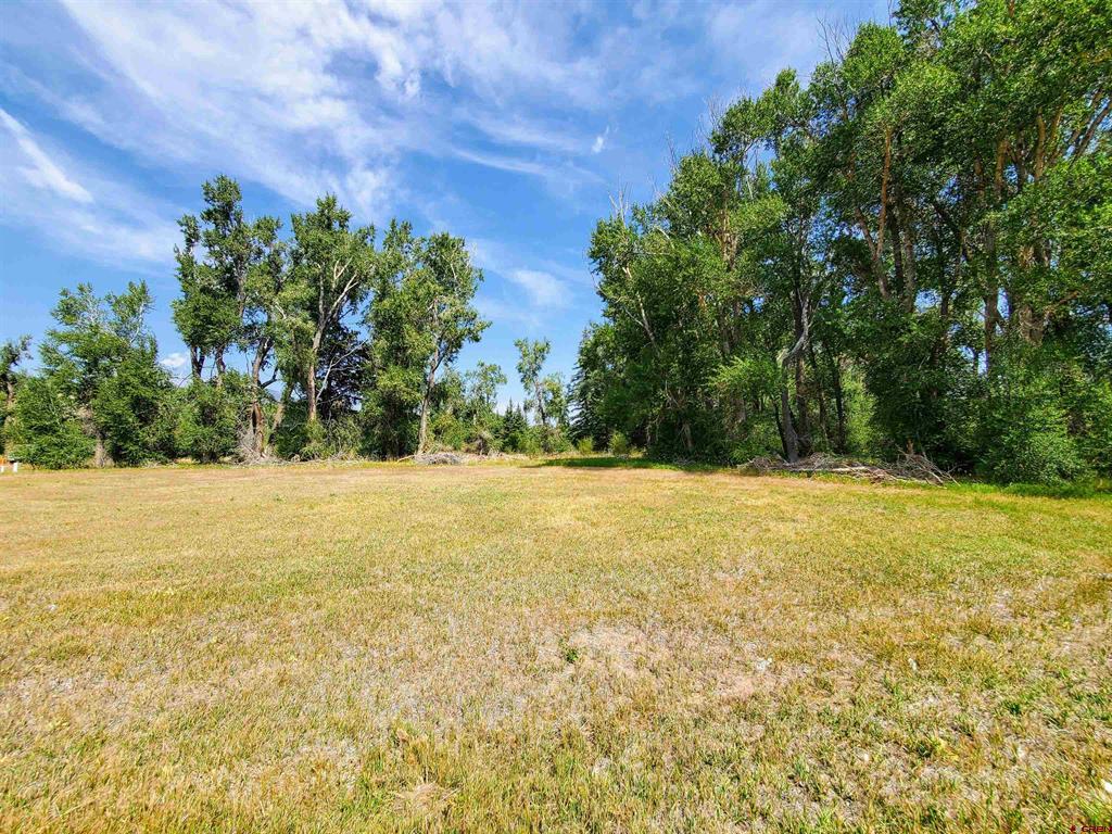 20 E Riverside Court South Fork CO 81154