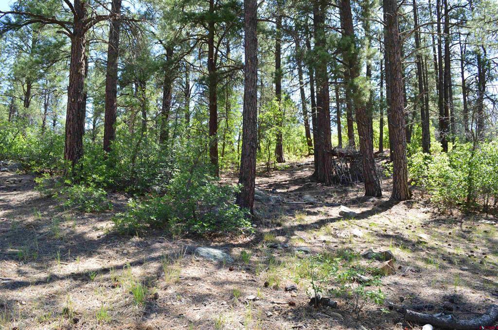 1000 Twin Buttes Avenue Durango CO 81301