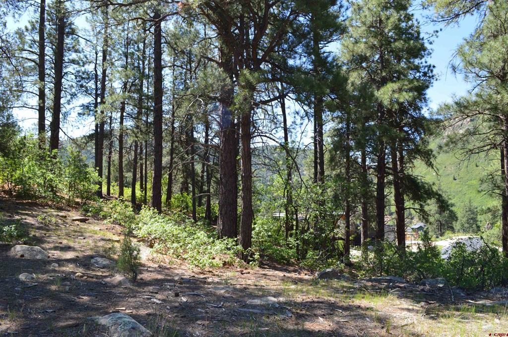 1000 Twin Buttes Avenue Durango CO 81301