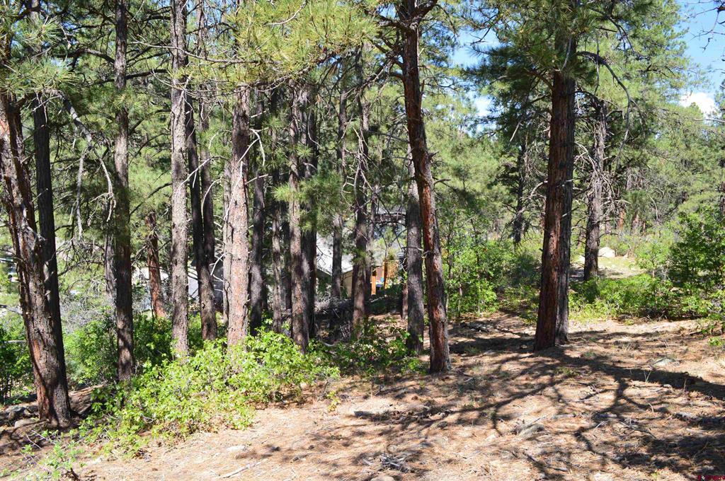1000 Twin Buttes Avenue Durango CO 81301