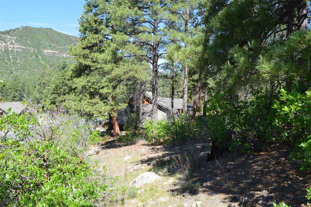 1000 Twin Buttes Avenue Durango CO 81301