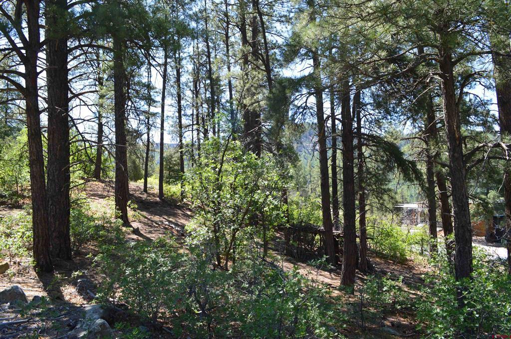 1000 Twin Buttes Avenue Durango CO 81301