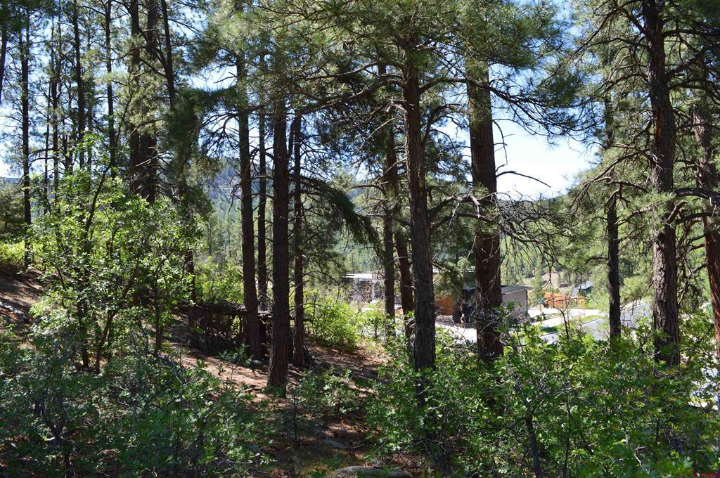 1000 Twin Buttes Avenue Durango CO 81301