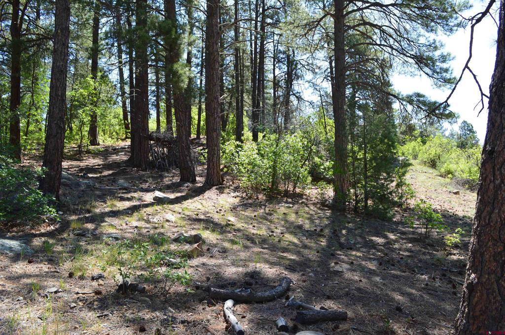1000 Twin Buttes Avenue Durango CO 81301