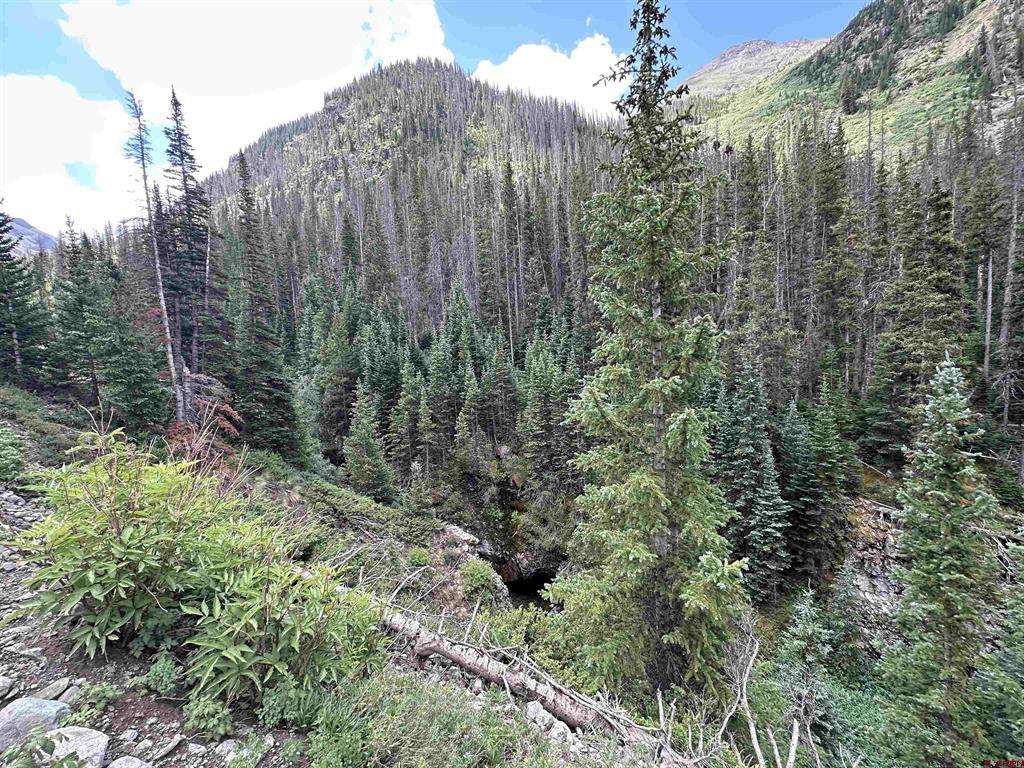 Forester Cr 23 Silverton CO 81433