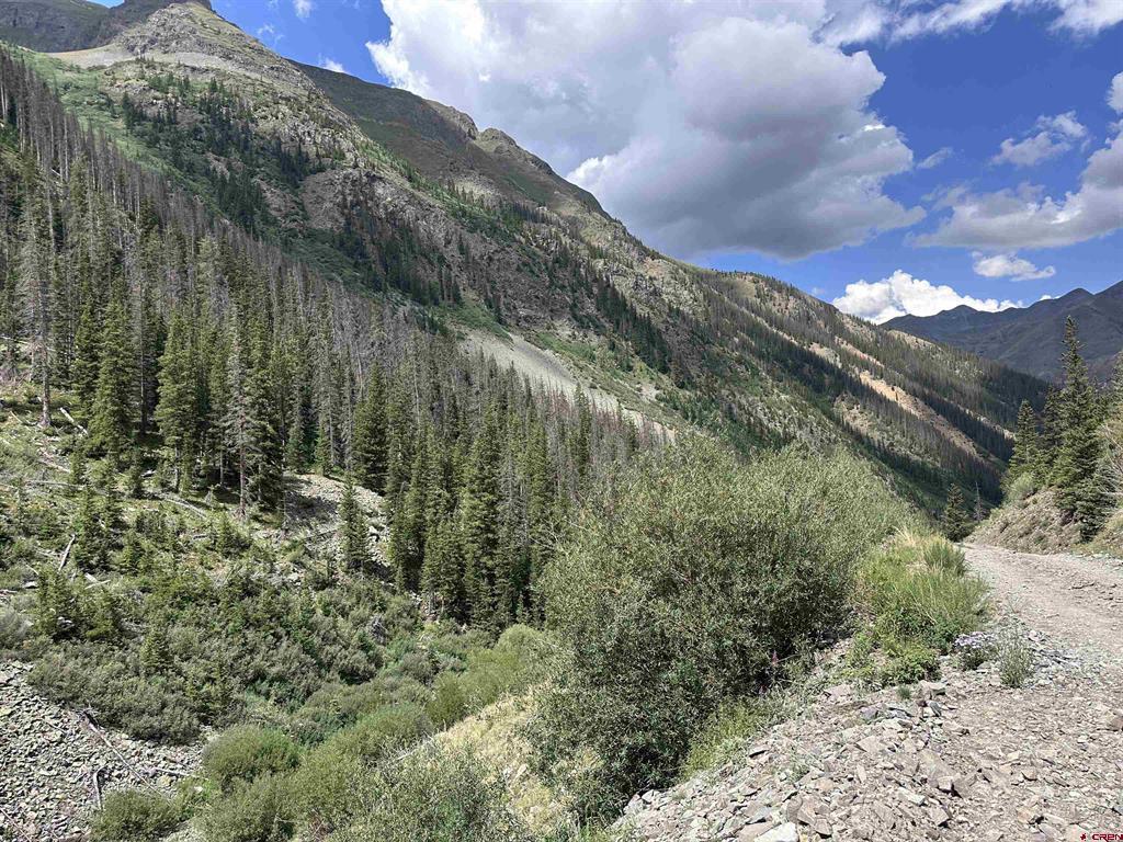 Forester Cr 23 Silverton CO 81433