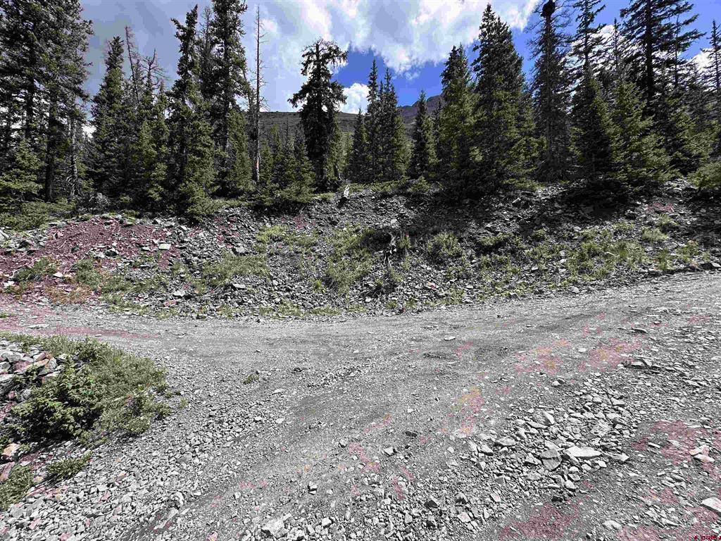 Forester Cr 23 Silverton CO 81433