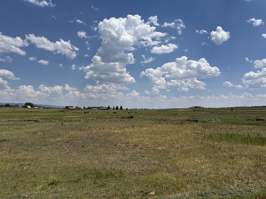 Tbd Highway 172 Ignacio CO 81137