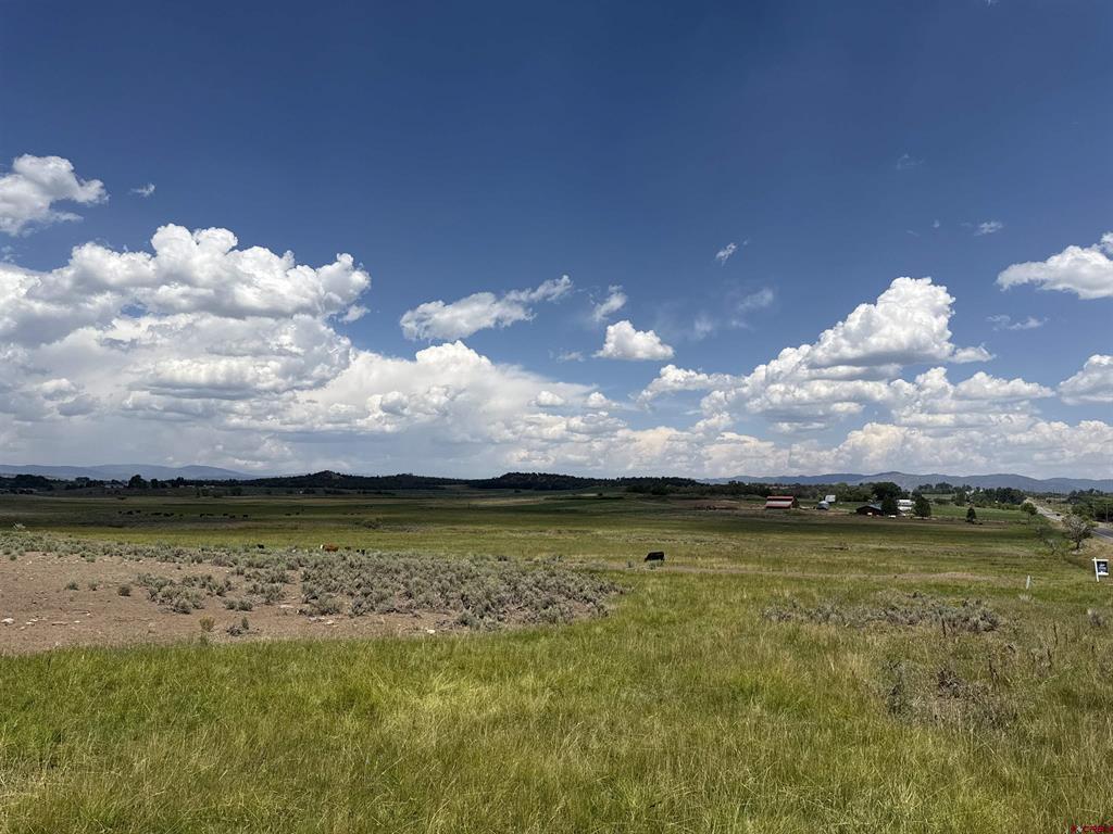 Tbd Highway 172 Ignacio CO 81137