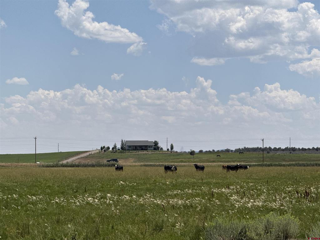 Tbd Highway 172 Ignacio CO 81137