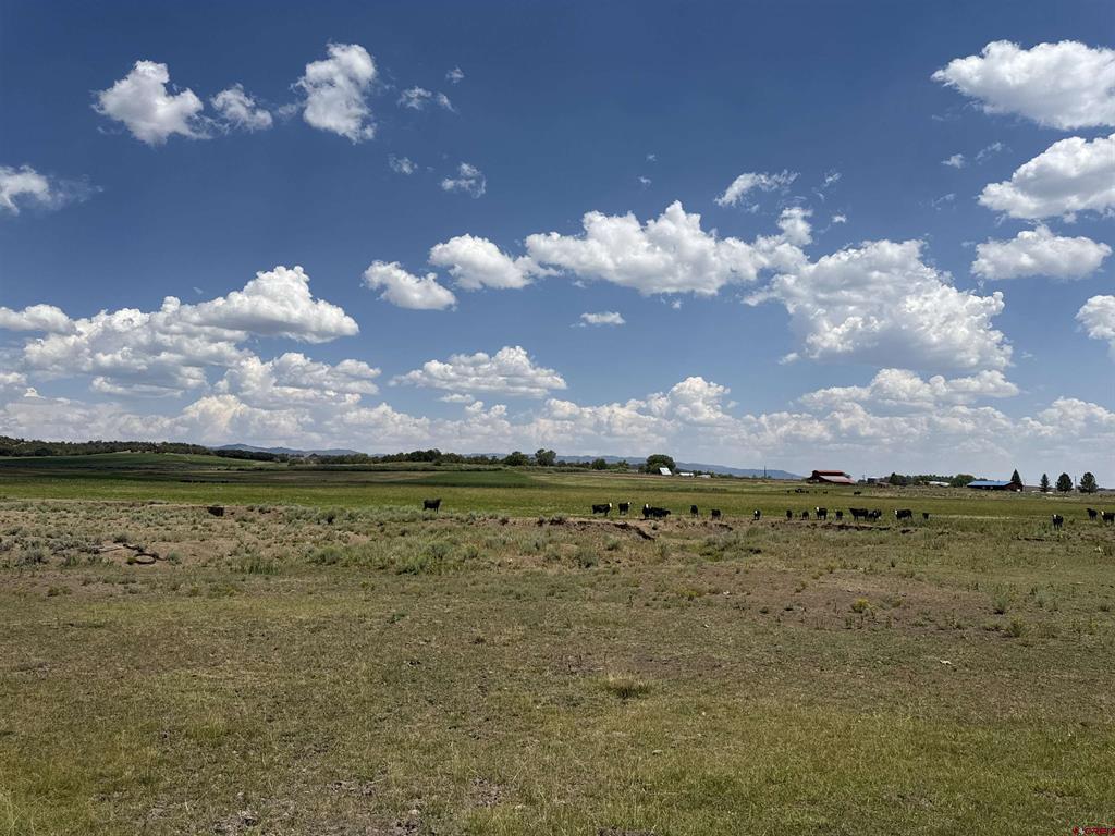 Tbd Highway 172 Ignacio CO 81137
